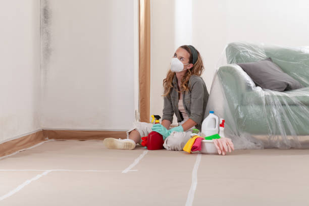 Reliable Mold Testing contractor in Carr, CO by WQB Mold Removal